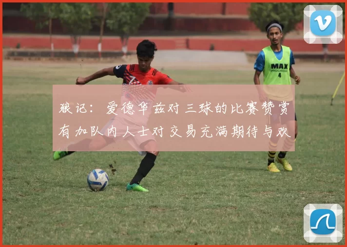 狼记：爱德华兹对三球的比赛赞赏有加队内人士对交易充满期待与欢欣